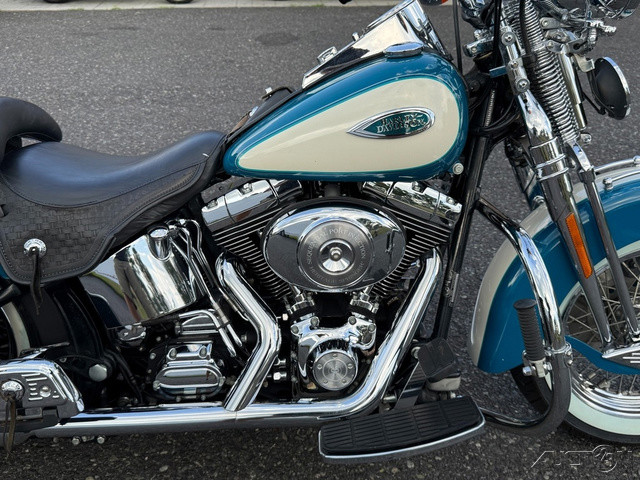 Springer® Softail®