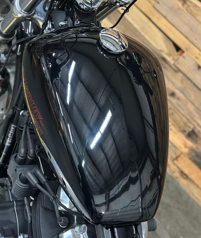 Softail® Standard