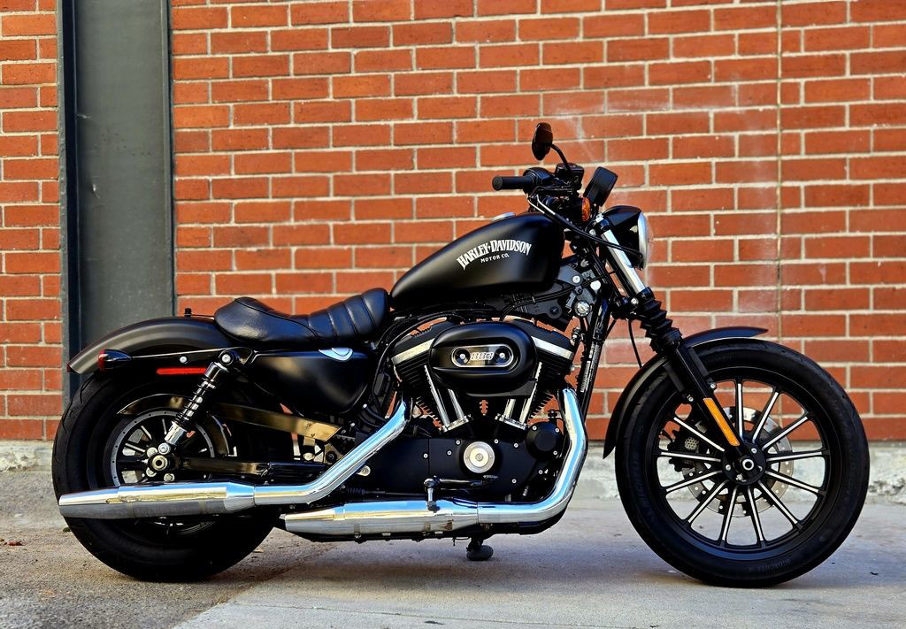 Sportster® Iron 883®