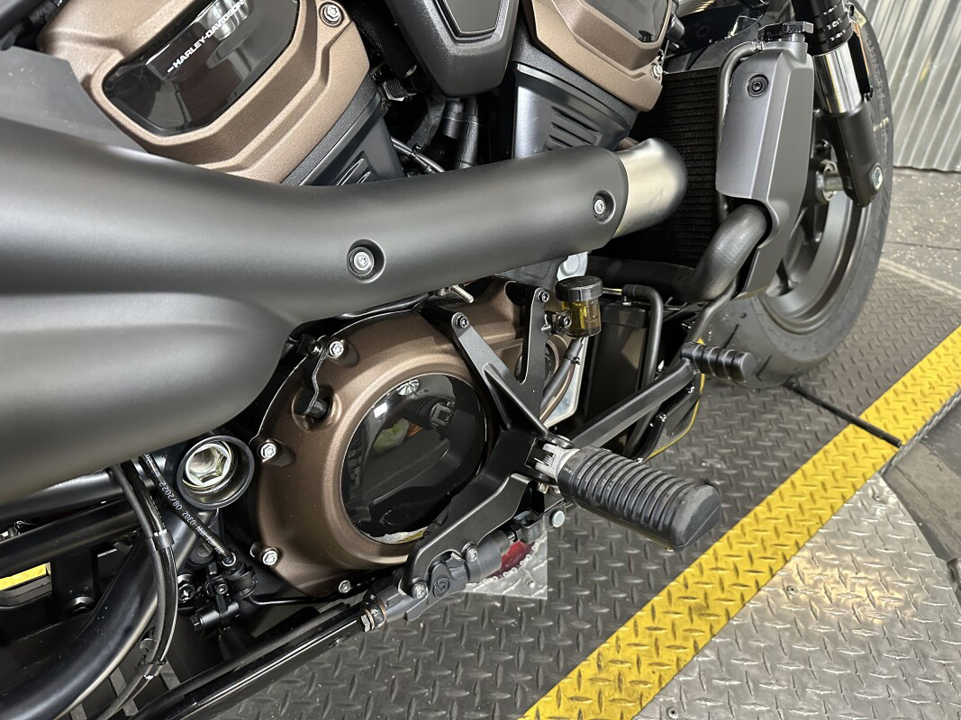 Sportster® S