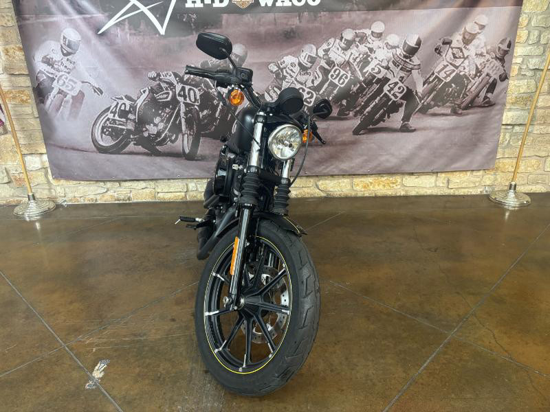 Iron 883®