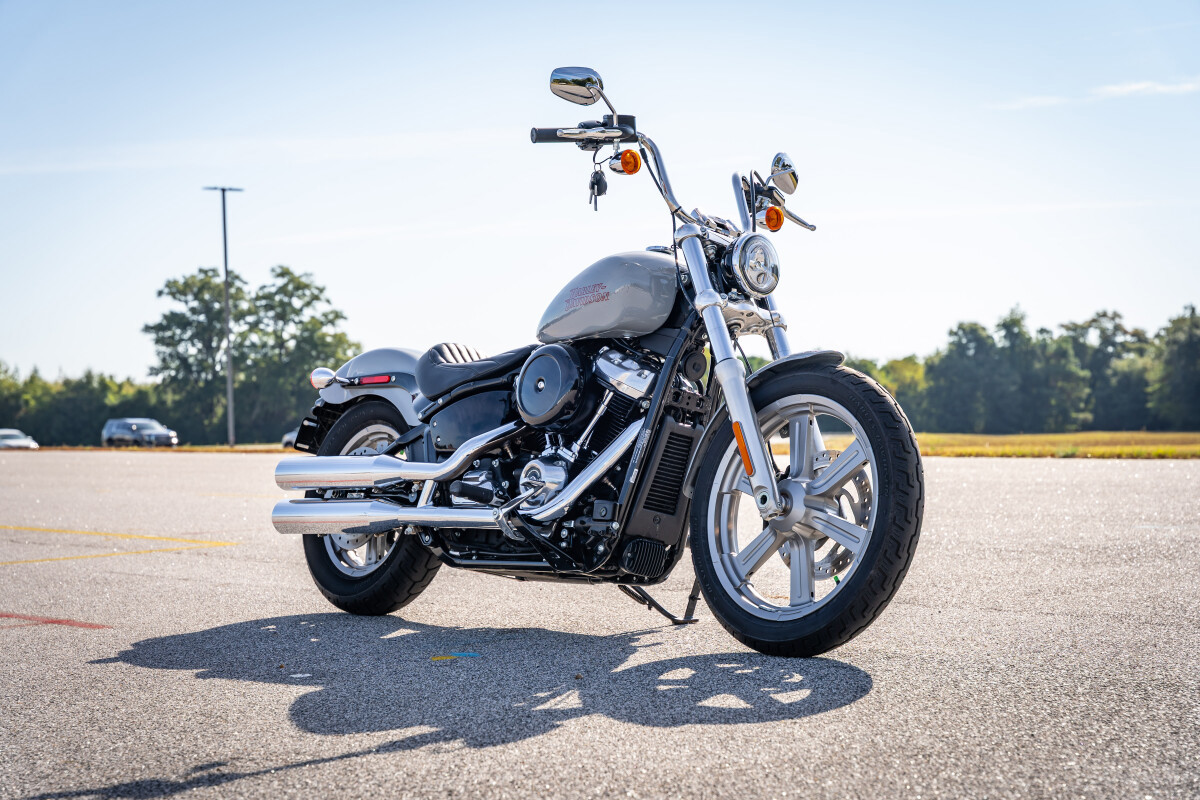 Softail® Standard