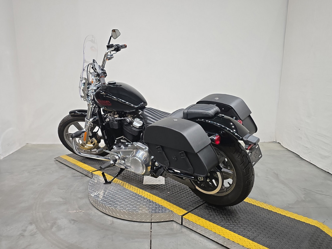 Softail® Standard