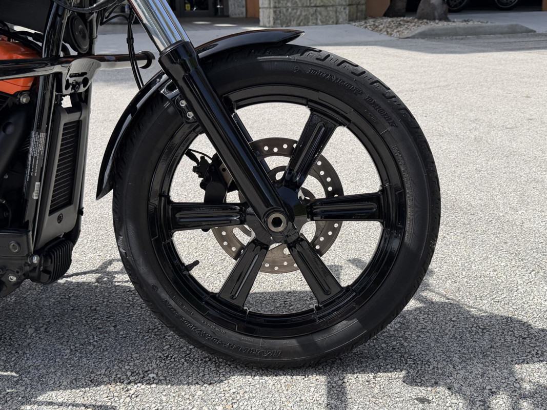 Softail® Standard