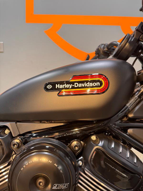 Nightster Special