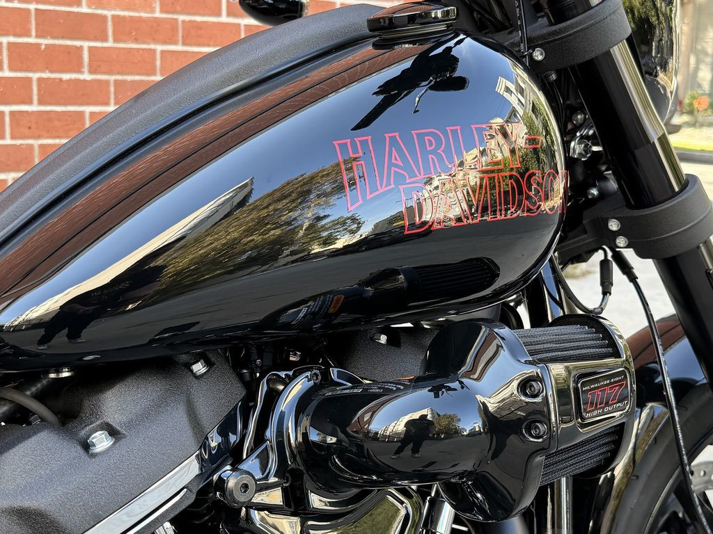 Low Rider® S