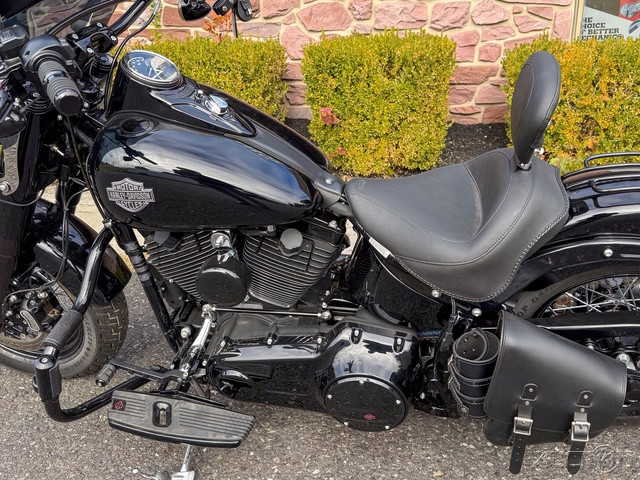 Softail® Slim® S
