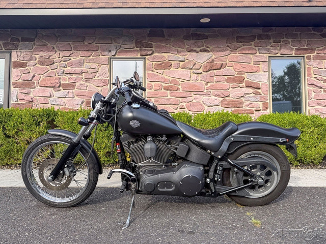 Softail® Night Train®