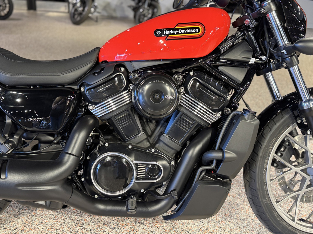 Nightster Special