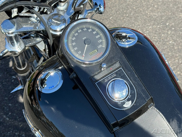Softail® Night Train®