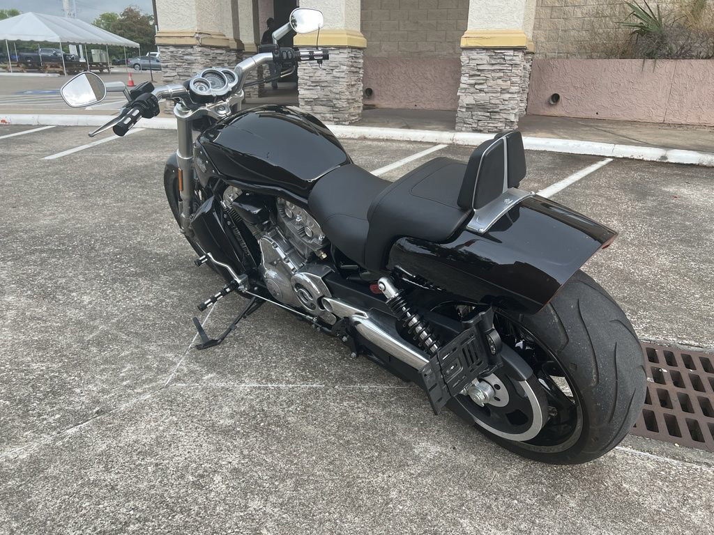 V-Rod® Muscle