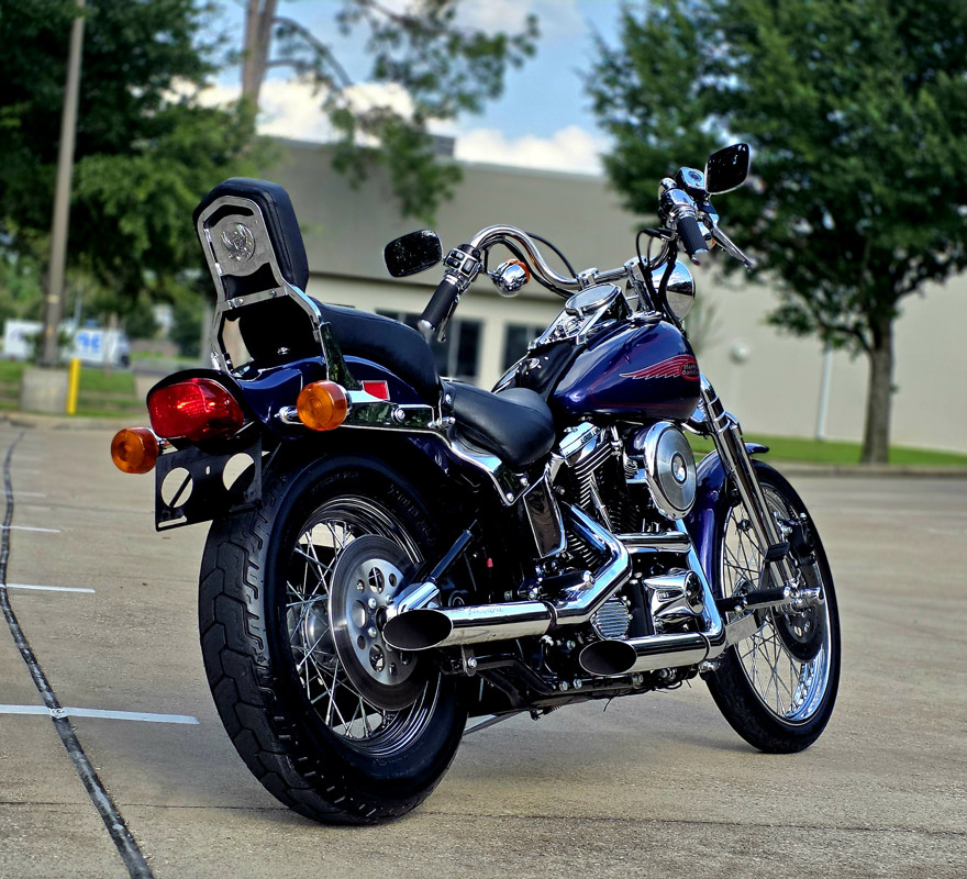 Springer® Softail®