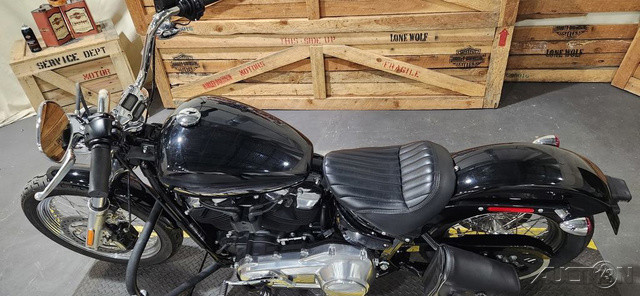 Softail® Standard