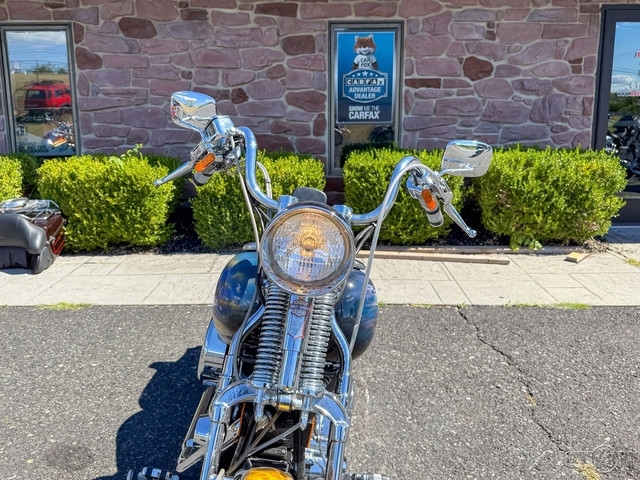 Springer® Softail®