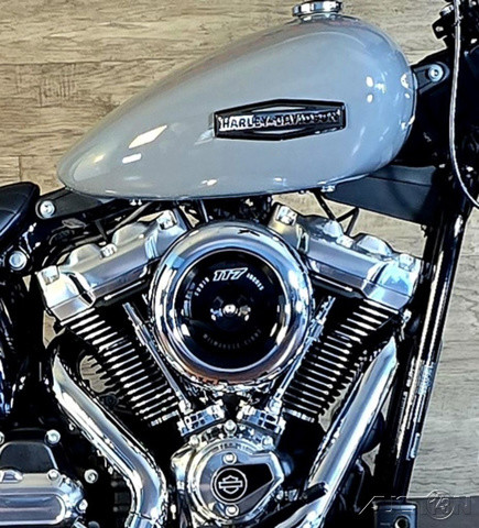 Street Bob®