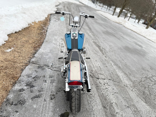 Springer® Softail®