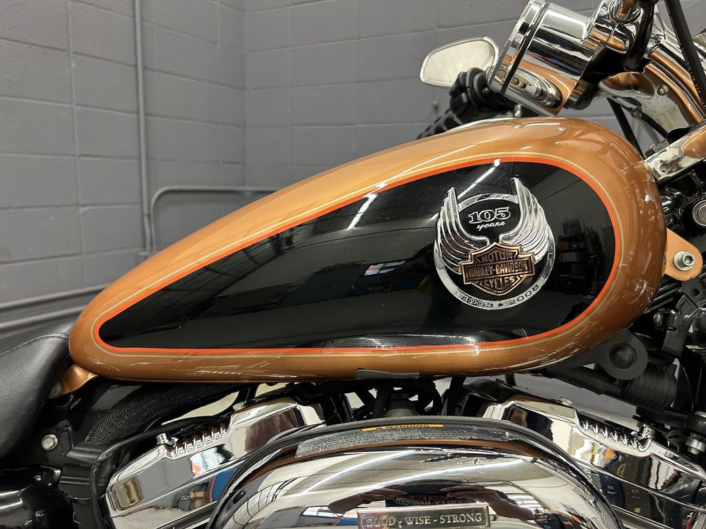 Sportster® 1200 Custom Anniversary