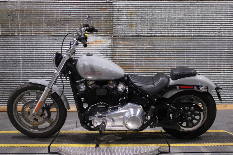 Softail® Standard