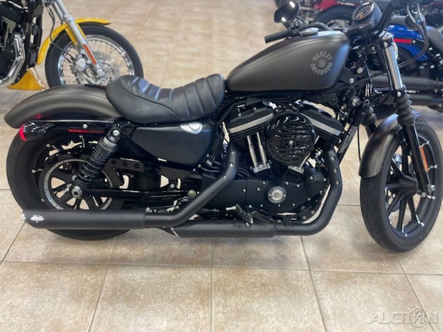 Iron 883®