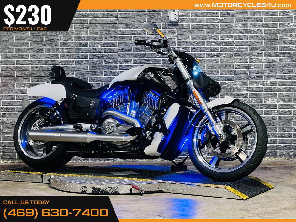 V-Rod® Muscle