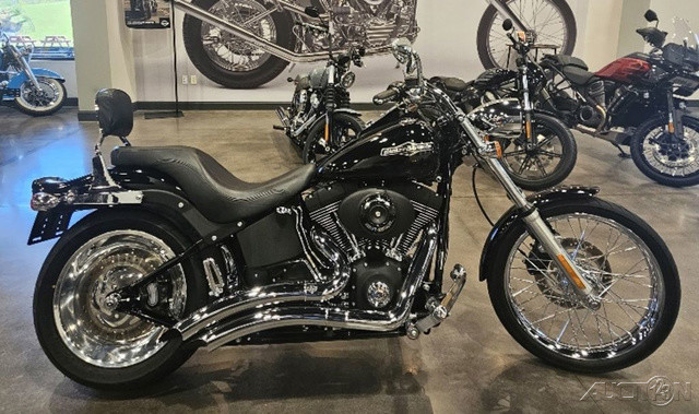 Softail® Night Train®