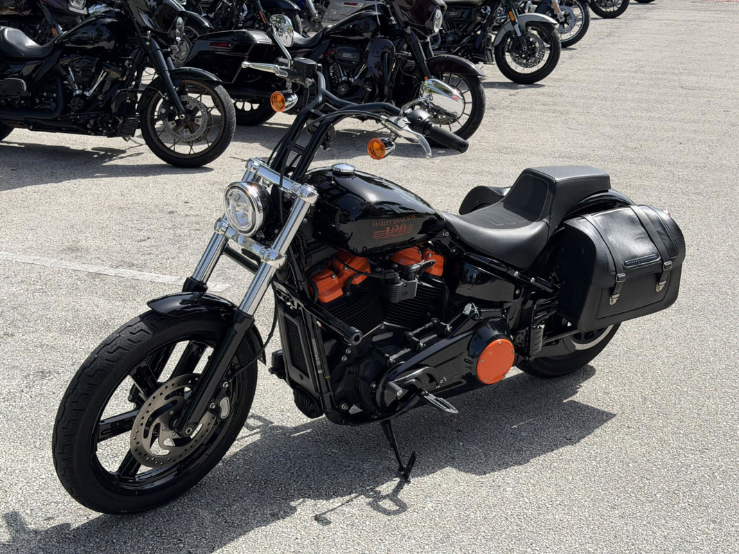 Softail® Standard