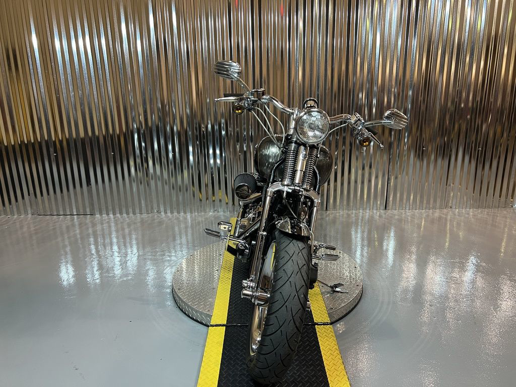 Screamin' Eagle® Softail® Springer®