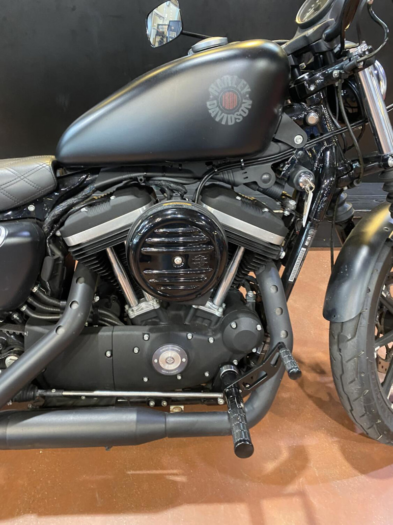Iron 883®