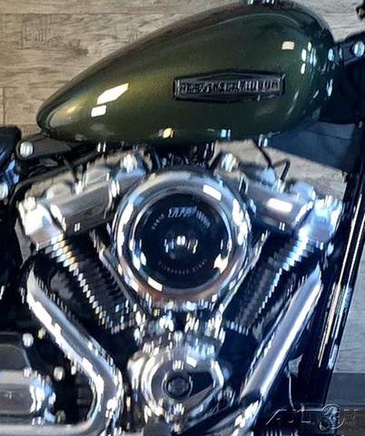 Street Bob®