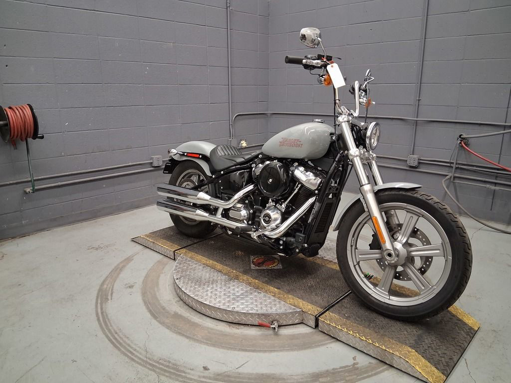 Softail® Standard