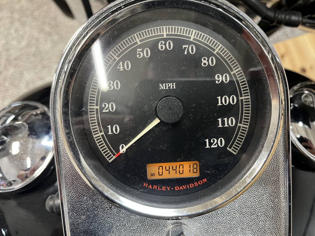Softail® Fat Boy® Patriot Special Edition