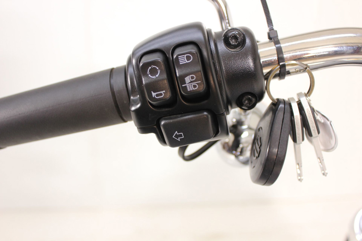 Softail® Standard