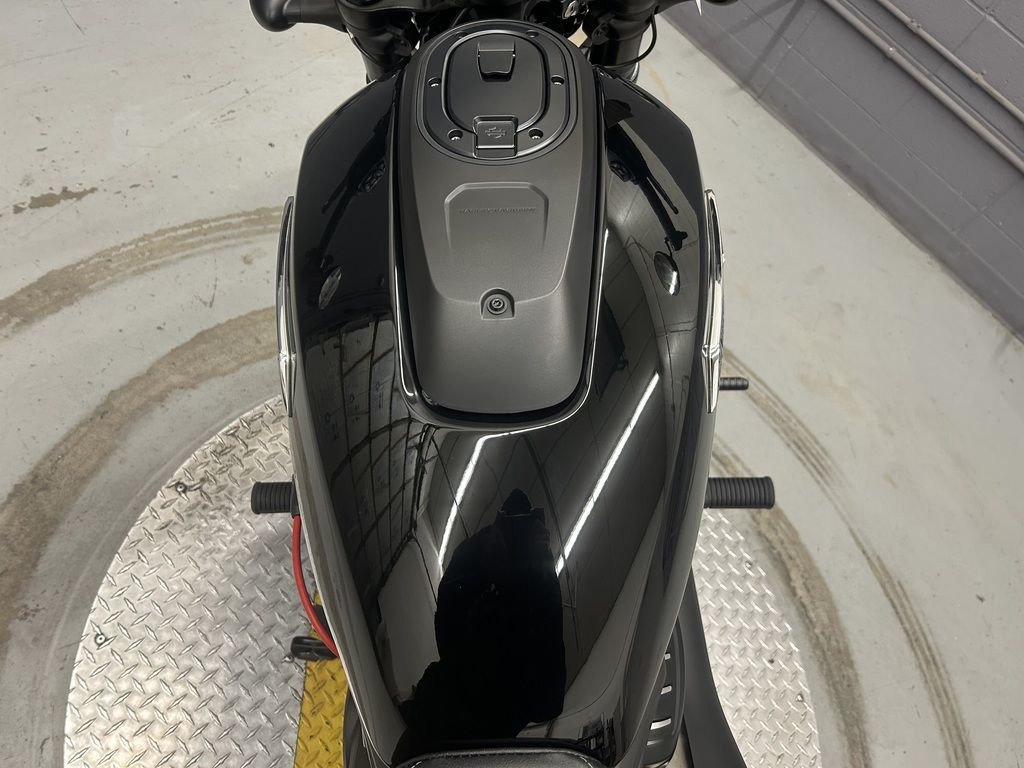 Sportster® S