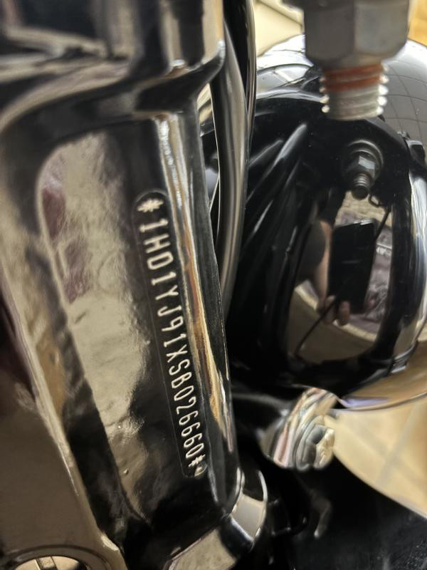 Street Bob®