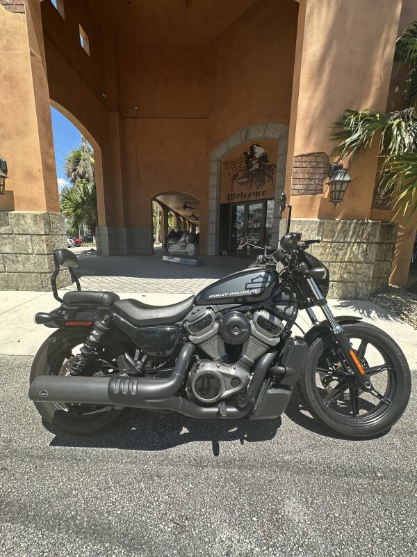 Nightster