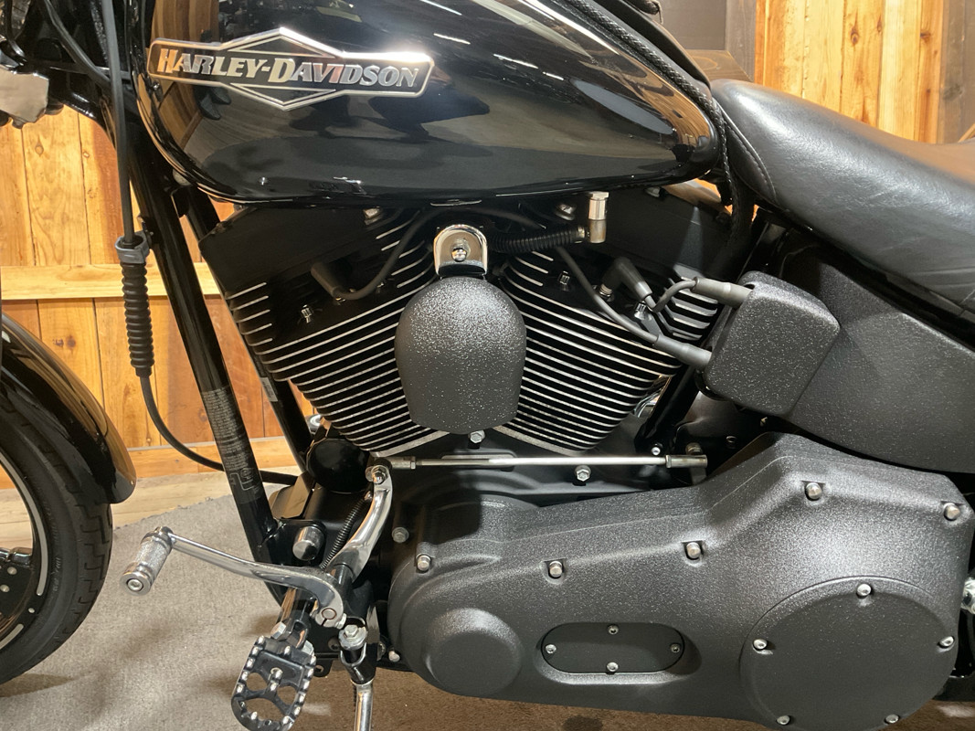 Softail® Night Train®