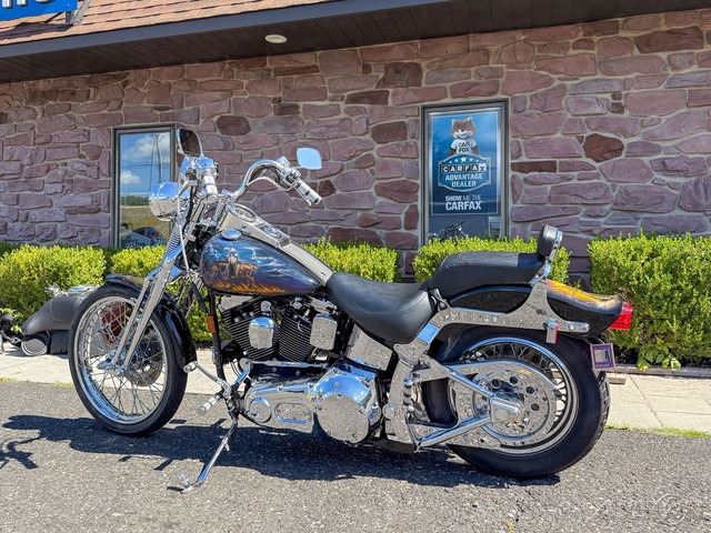 Springer® Softail®