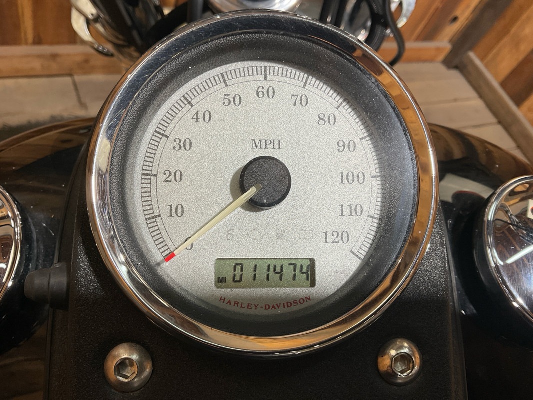 Dyna® Street Bob®
