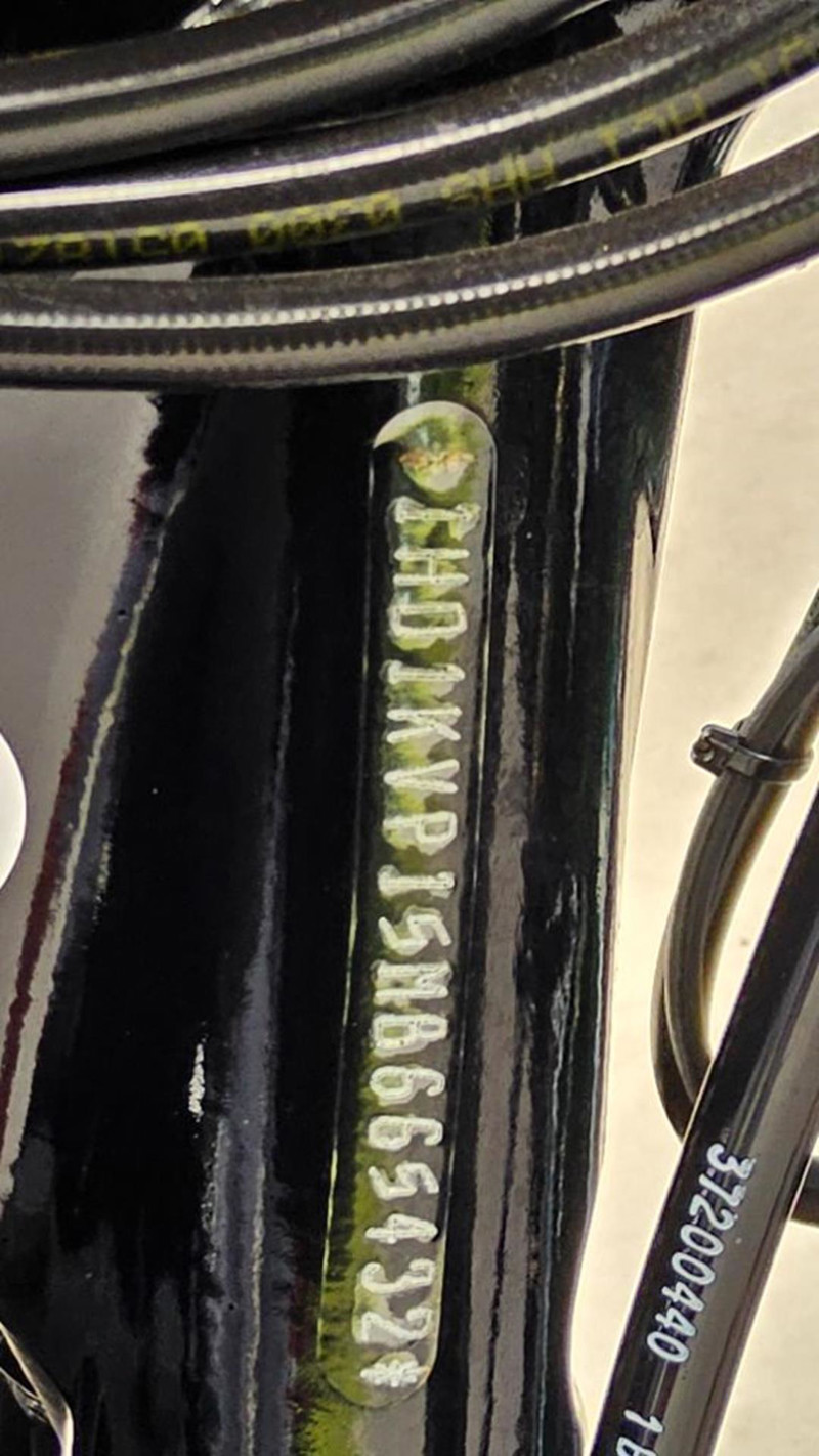 Road King® Special