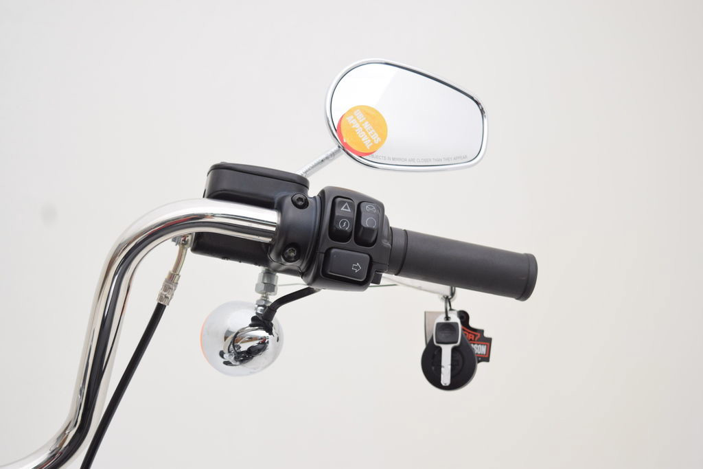 Softail® Standard