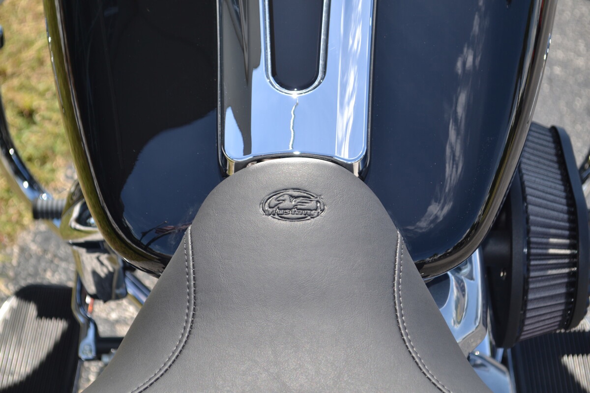 Electra Glide Standard