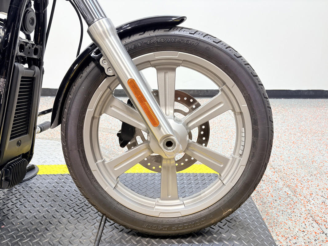 Softail® Standard