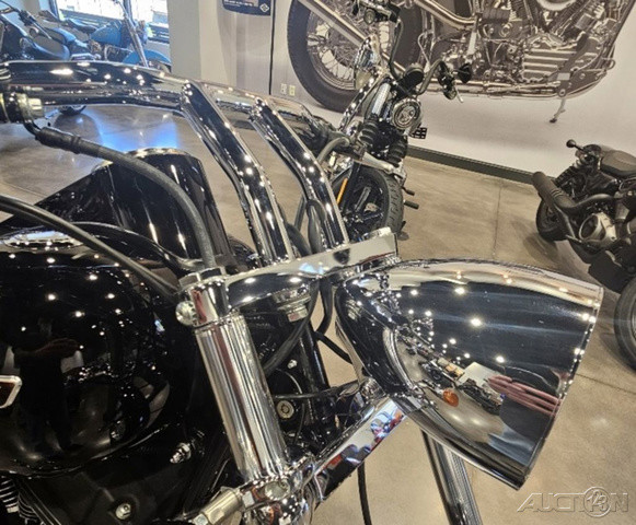Softail® Night Train®