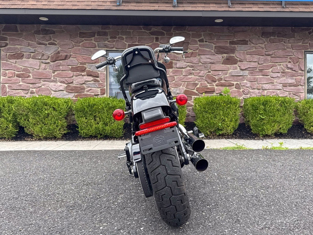 Softail® Standard