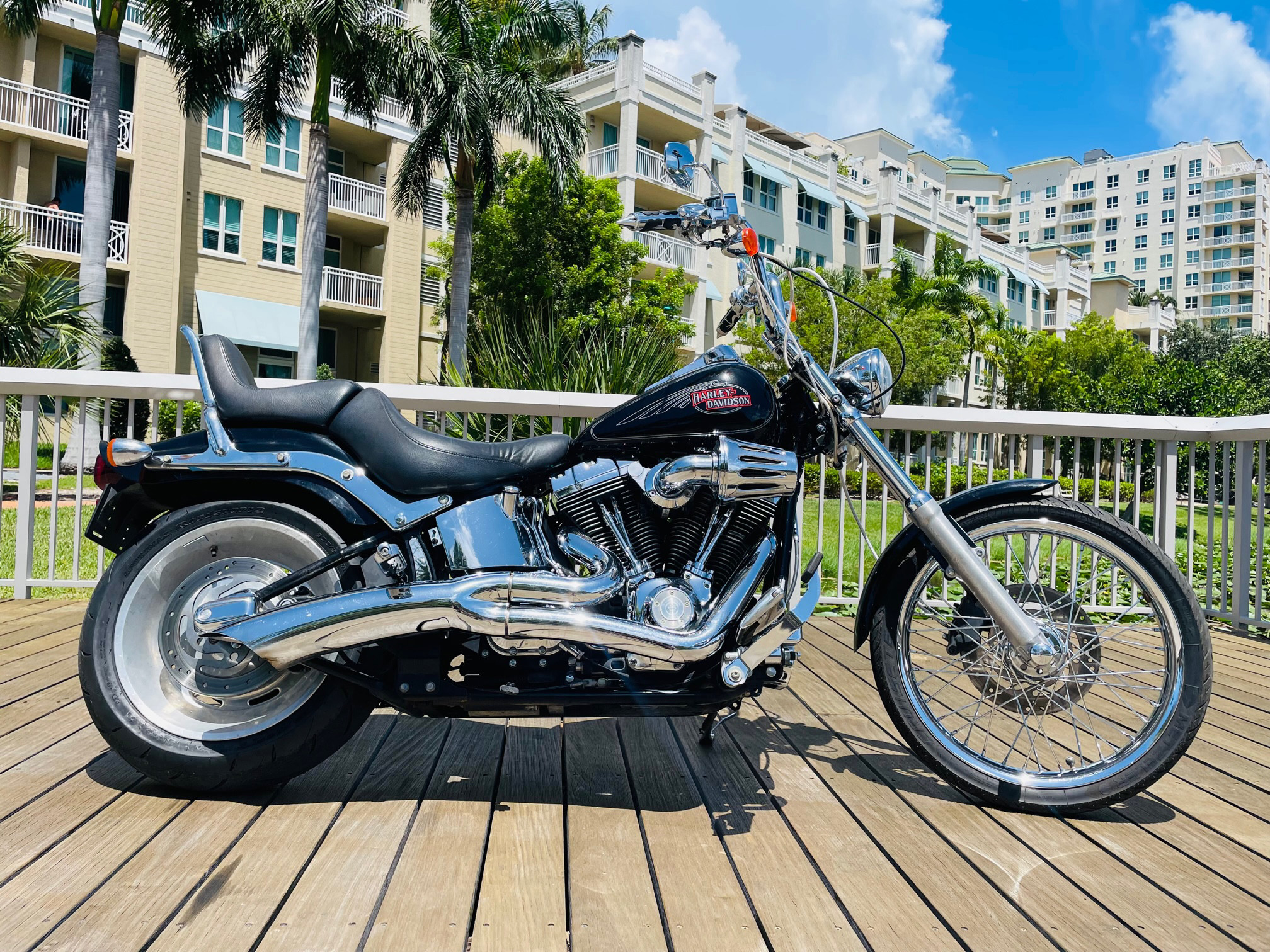 Unleash Your Inner Rebel The Timeless Allure Of The 2008 Harley Davidson Fxstc Softail Custom 2 Up