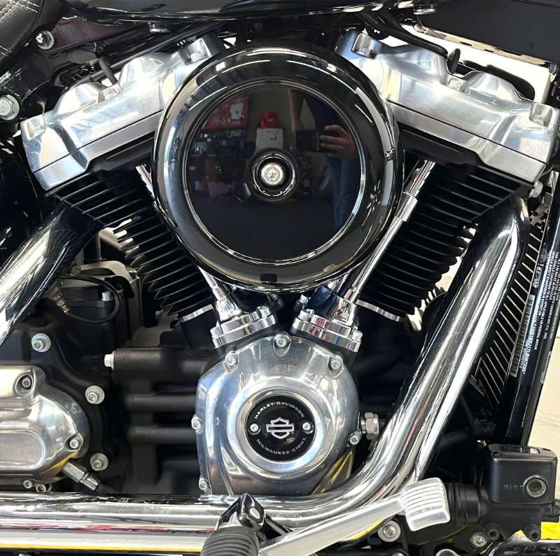Softail® Standard