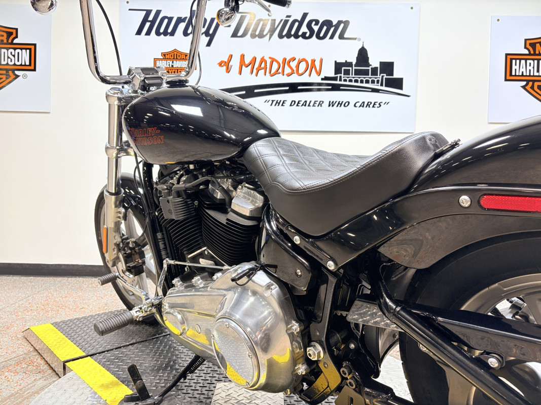 Softail® Standard