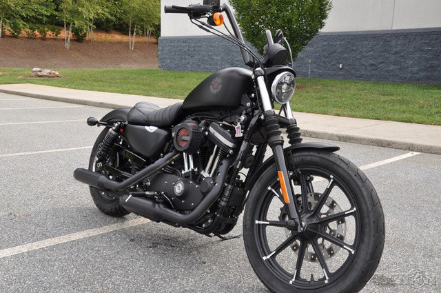 Iron 883®