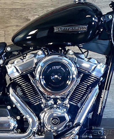 Street Bob®