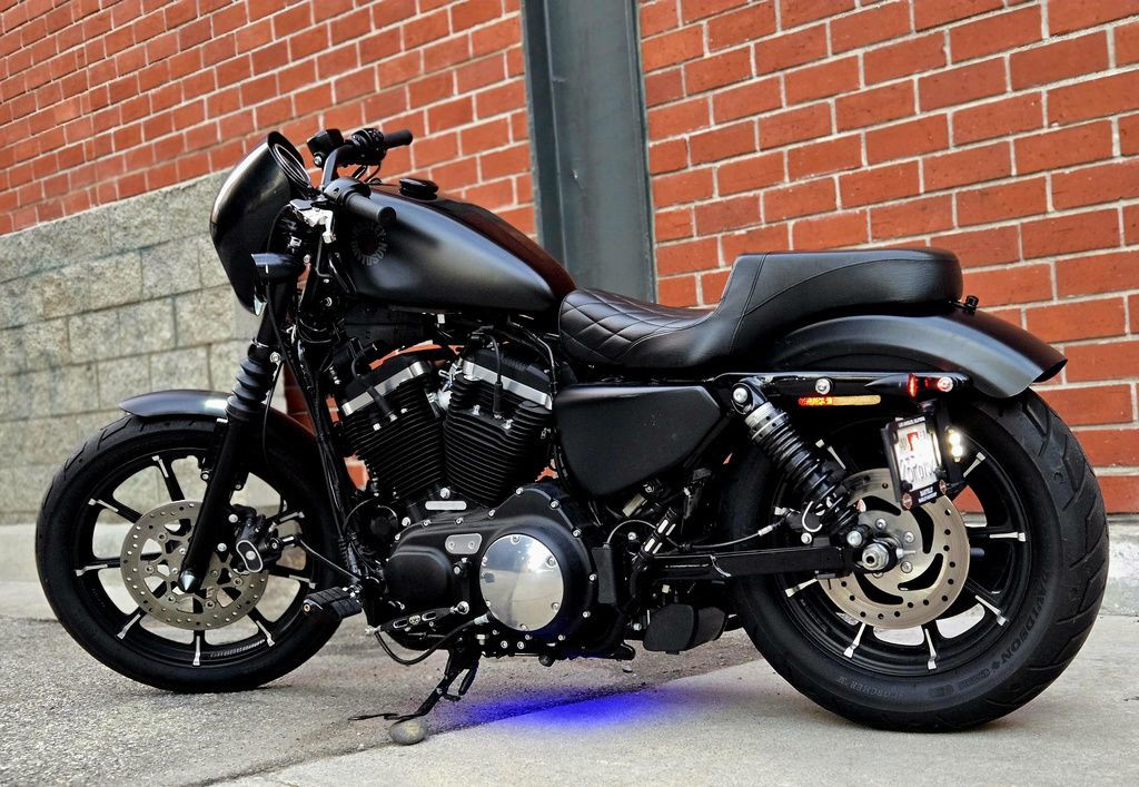 Iron 883®